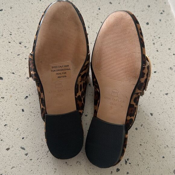 Ann Taylor Mules Flat Leopard Print Calf Hair Women's Size 5.5 Slip On Shoes EUC - Picture 8 of 12